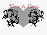 Max et Cassy cœur de Boxer