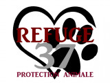 Refuge 37