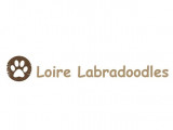 Loire Labradoodles