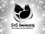 SOS Amimaux