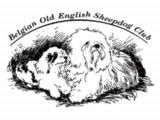 Belgian Old English Sheepdog Club (BOESC)