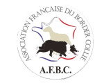Association Française du Border Collie (AFBC)