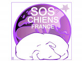 SOS Chiens France