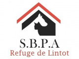 Société Bolbecaise de Protection des Animaux (SBPA) - Refuge de Lintot