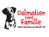 Dalmatien sans Famille