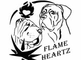 FlameHeartz
