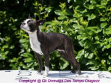 Du Domaine des Temps Orageux