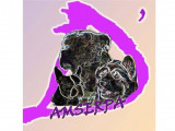 Du Domaine D'Amserpa