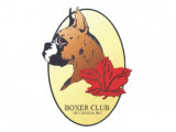 Boxer Club du Canada