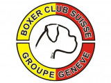 Boxer-Club Suisse (BCS)