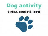 Dog Activity
