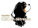 CKC en Détresse