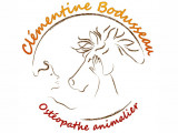 Clémentine Bodusseau
