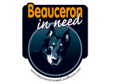 Beauceron In Need