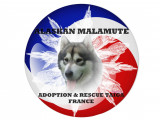 Alaskan Malamute Adoption & Rescue Taiga France
