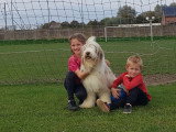 Des Amours de Lau