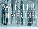 Winter Never Dies