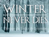 Winter Never Dies