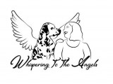 Whispering to the Angels