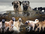 The Legend Of Kangal
