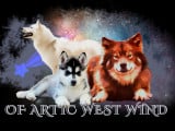 Of Artic West Wind