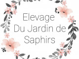 Du Jardin des Saphirs