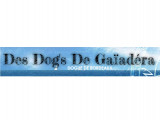 Des Dog's de Gaïadéra