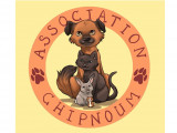 Association Chipnoum