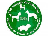 Club du Chihuahua, du Coton de Tuléar et des Exotiques (CCCE)