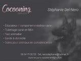 Cocooning Service pour Animaux