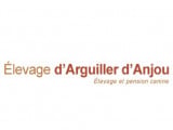 D'Arguiller d'Anjou