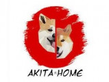Akita Home