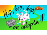 Hop, hop, hop, on adopte