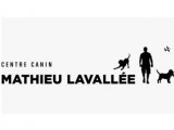 Mathieu Lavallée