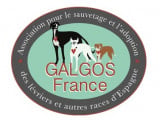 Galgos France