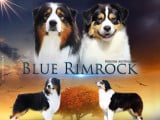 Blue Rimrock