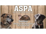 Association Saumuroise de Protection Animale (ASPA)