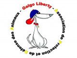 Galgo Liberty
