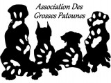 Association Des Grosses Patounes (ADGP)