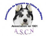 Association de Secours aux Chiens Nordiques (A.S.C.N.)