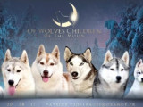Of Wolves Children of the Moon
