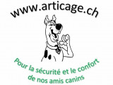 Articage