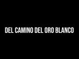Del Camino Del Oro Blanco