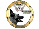 Viking SV2L