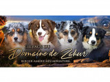 Domaine de Zakur