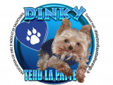 Dinky tend la patte