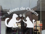 Mines de Chiens