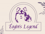 Éogìn's Legend