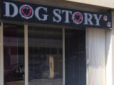 Dog Story