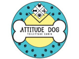 Attitude Dog
